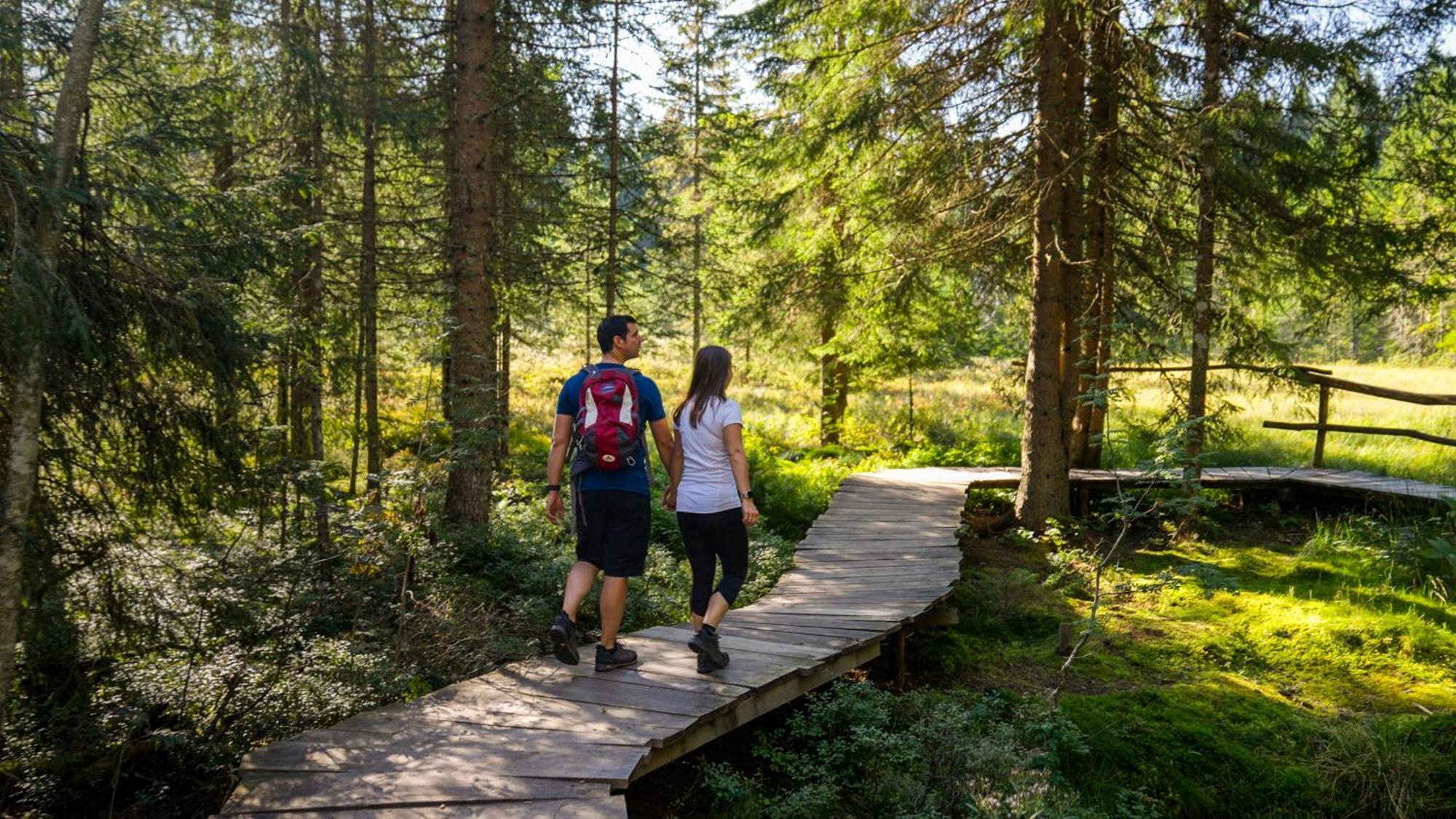 Naturparkhotel Schwarzwaldhaus Bernau im Schwarzwald Extérieur photo